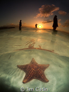 Sunset silhouettes... Starfish point, Grand Cayman by Jim Catlin 